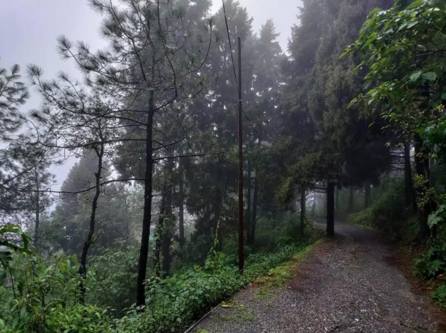 The Hill Story, Entire Chalet, Offbeat,Cozy Mussoorie Εξωτερικό φωτογραφία