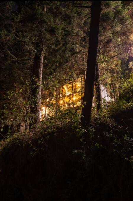 The Hill Story, Entire Chalet, Offbeat,Cozy Mussoorie Εξωτερικό φωτογραφία