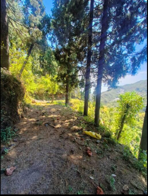 The Hill Story, Entire Chalet, Offbeat,Cozy Mussoorie Εξωτερικό φωτογραφία